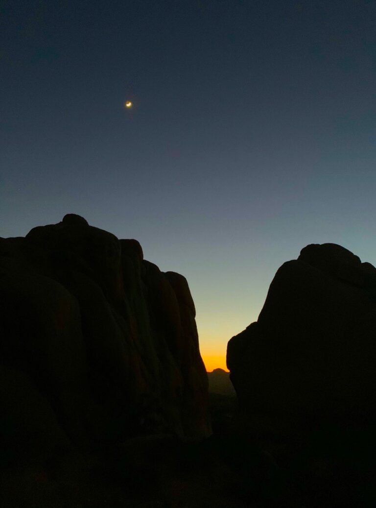 Joshua Tree Adventure Day Trip 3