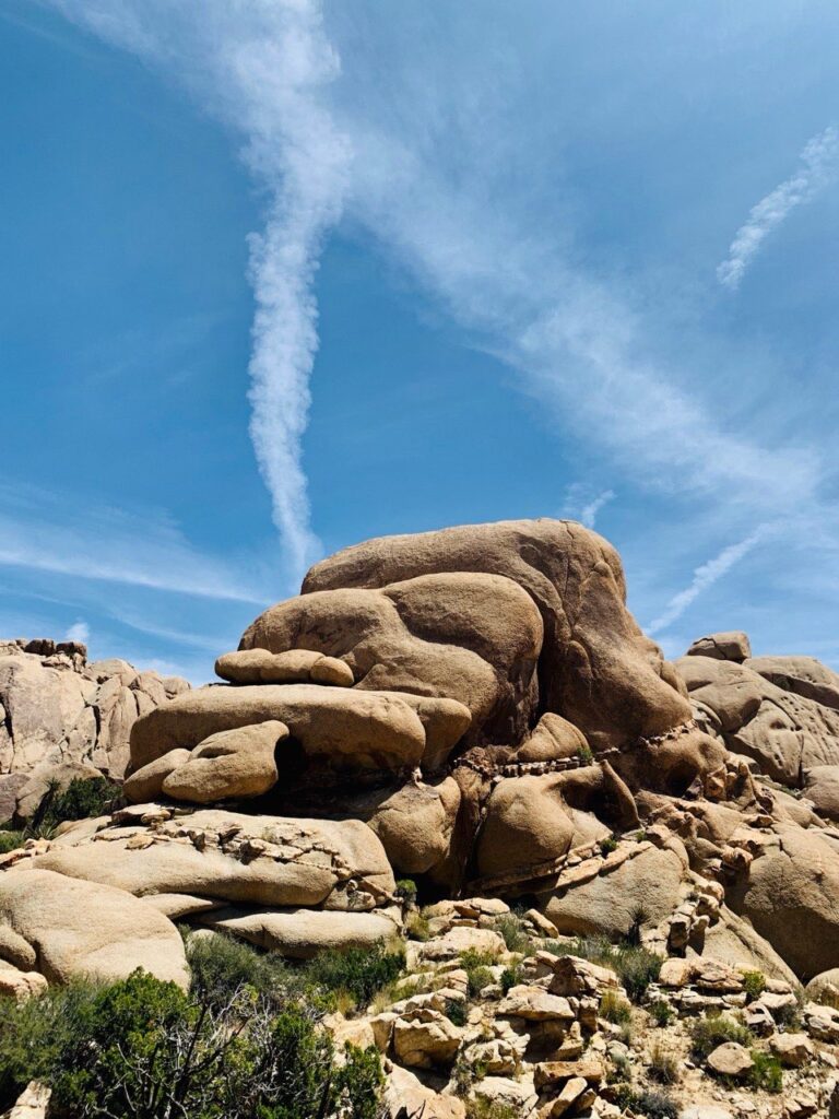 Joshua Tree Adventure Day Trip 9